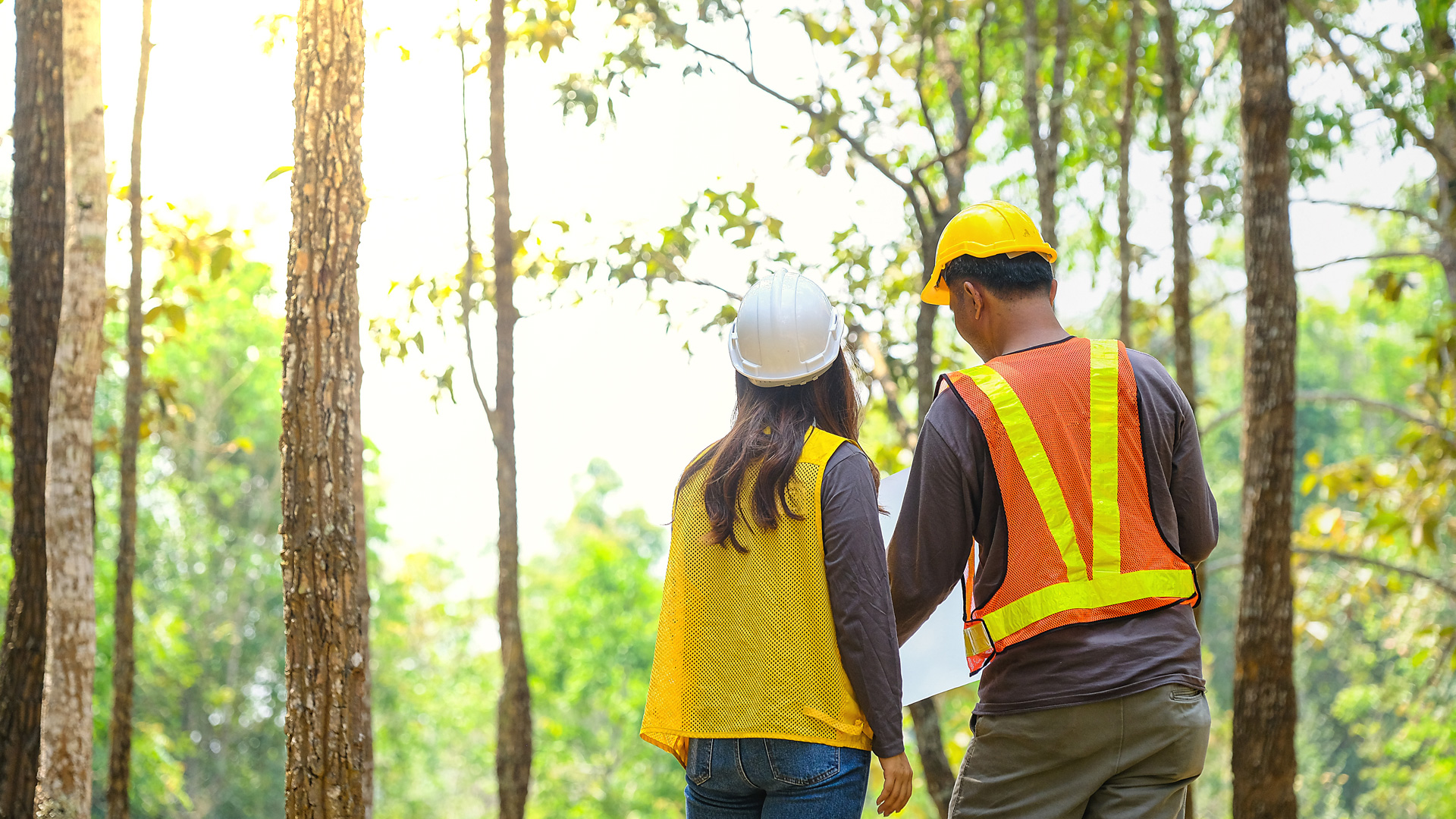 Green landscape representing environmental work